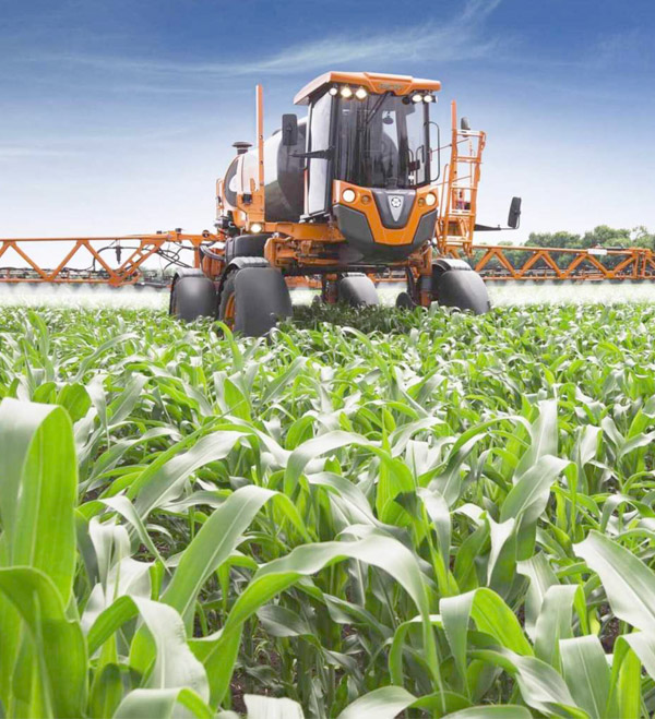 Mozambique Maize Farm